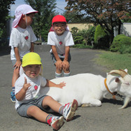 杉野幼稚園の写真3