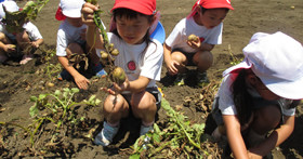 杉野幼稚園