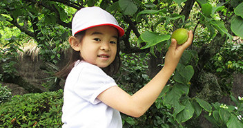 共立大日坂幼稚園