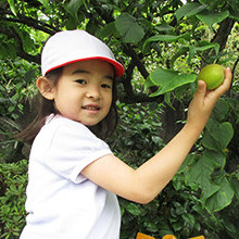 共立大日坂幼稚園