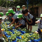 北豊島幼稚園の写真5