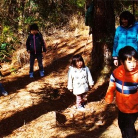 てんとうむし幼児園の写真2