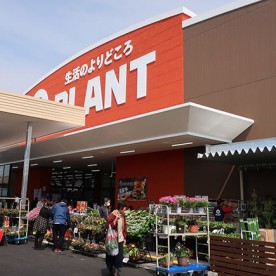 ＳＵＰＥＲ  ＣＥＮＴＥＲ  ＰＬＡＮＴ　木津川店の写真2
