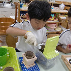 聖パトリック幼稚園の写真2