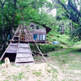 山と畑のまるごとえんの写真2