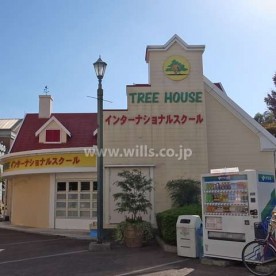 インターナショナルスクール　TREE HOUSE 塚口校