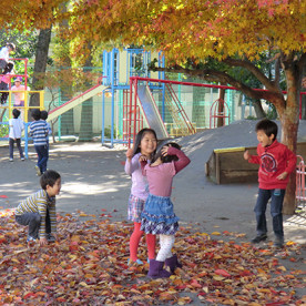 もみじ幼稚園の写真4