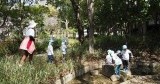ハルム保育園(企業主導型)