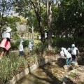 ハルム保育園(企業主導型)