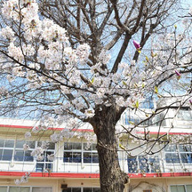 大森みのり幼稚園