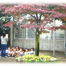 久が原幼稚園の写真2