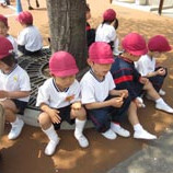 聖母幼稚園の写真4