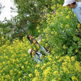 あおい第一幼稚園の写真2