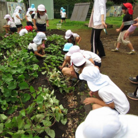 府中おともだち幼稚園の写真5