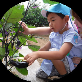 りんどう幼稚園の写真3