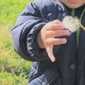 澄川ちびっこ保育園の写真2