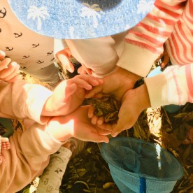 森の幼稚園もりのこびとたち