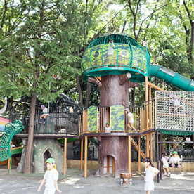緑ケ丘幼稚園