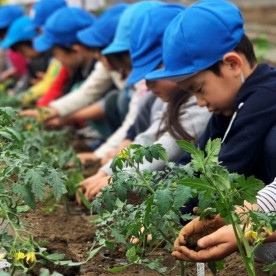 さかえ幼稚園