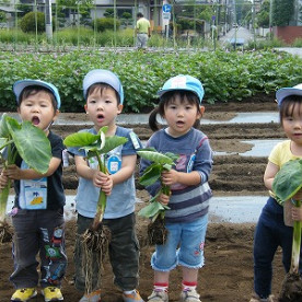 さかえ幼稚園の写真3