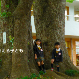 高千穂幼稚園の写真2