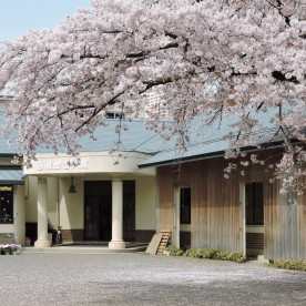 寛永寺幼稚園