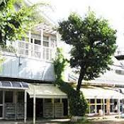 三鷹小鳩幼椎園
