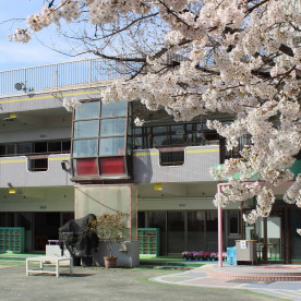 三鷹杉の子幼稚園