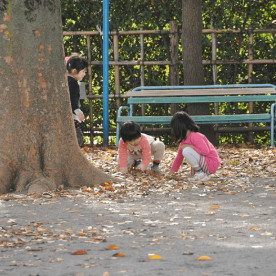 三鷹杉の子幼稚園の写真4