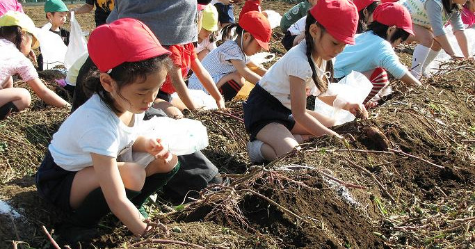 光塩女子学院幼稚園