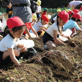 光塩女子学院幼稚園の写真2