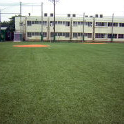 國學院大學附属幼稚園の写真5