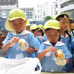 豊多摩幼稚園の写真4