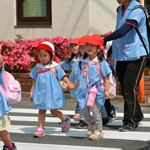 豊多摩幼稚園の写真2