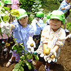 杉並東洋幼稚園の写真4