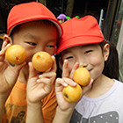 杉並東洋幼稚園の写真5