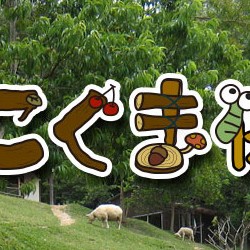 こぐま山の保育園