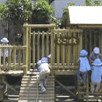 ひこばえ幼稚園の写真2