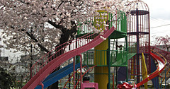富士学院幼稚園