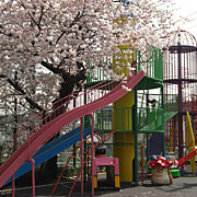 富士学院幼稚園の写真3