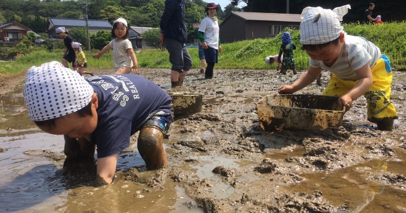 島を遊びこむ　お山の教室