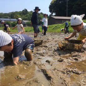 島を遊びこむ　お山の教室の写真1