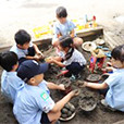 新小岩幼稚園の写真2