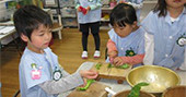 新小岩幼稚園