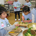 新小岩幼稚園の写真4