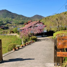 東広島シュタイナーこども園さくら