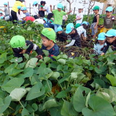 三鷹みずほ幼稚園の写真2