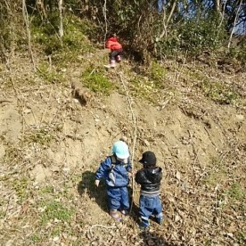 にいはま森のようちえん