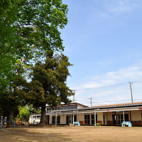 裕和幼稚園