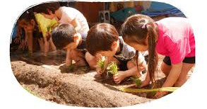 池袋いづみ幼稚園
